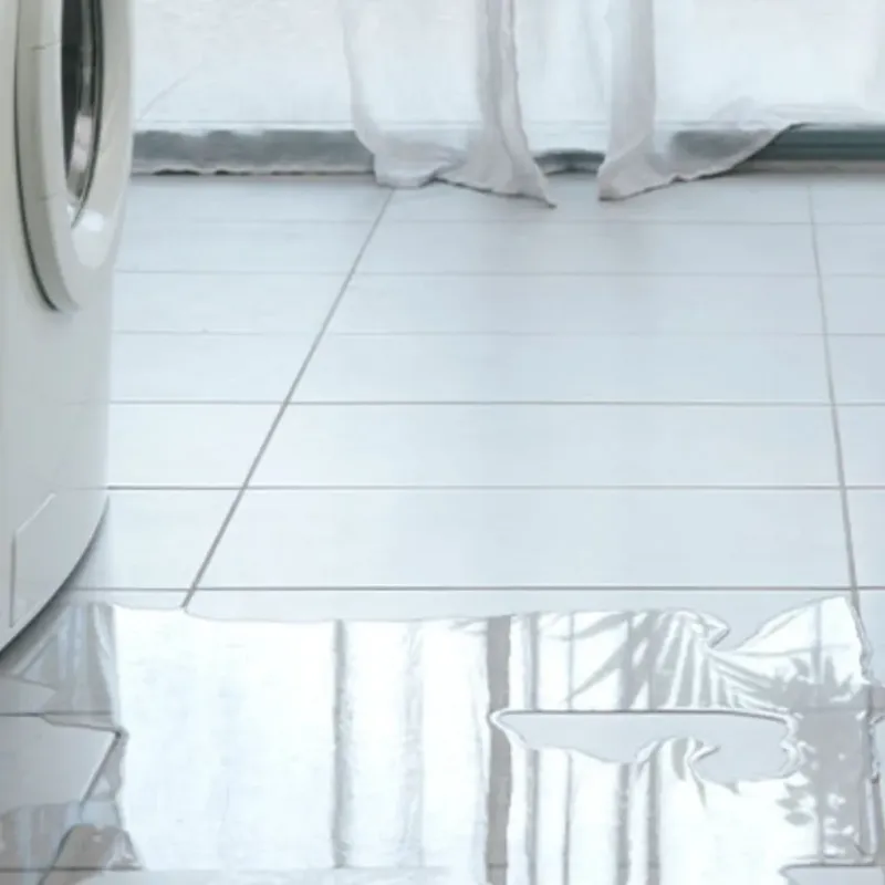 Appliance Leak Cleanup in Dallas County, TX