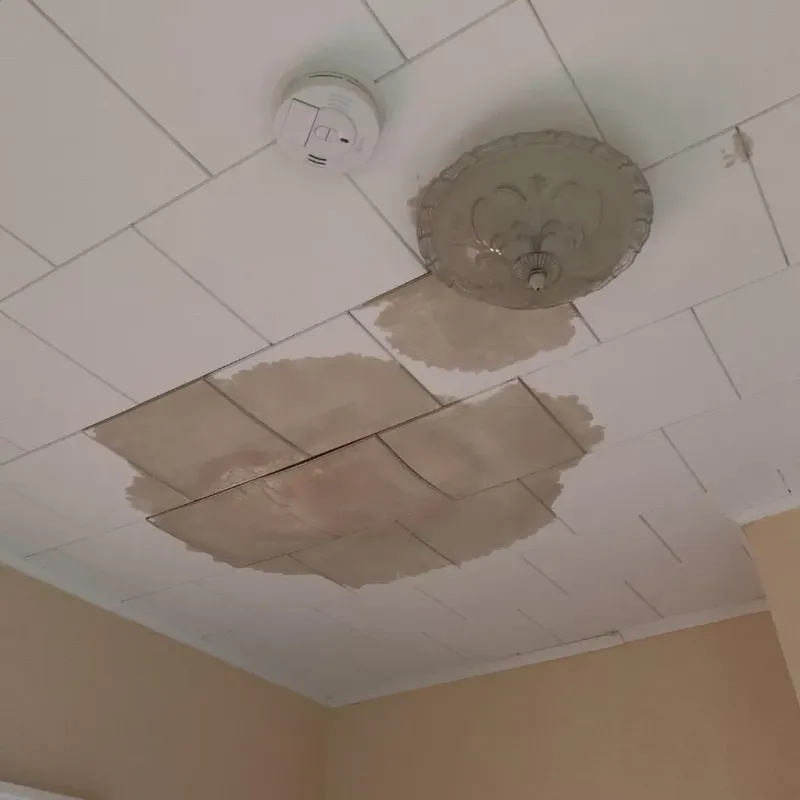 Ceiling Water Damage Repair in Dallas County, TX