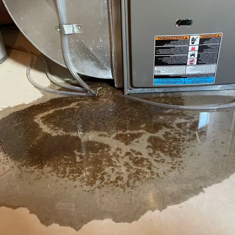 Pipe Burst and Leak Restoration in Dallas County, TX