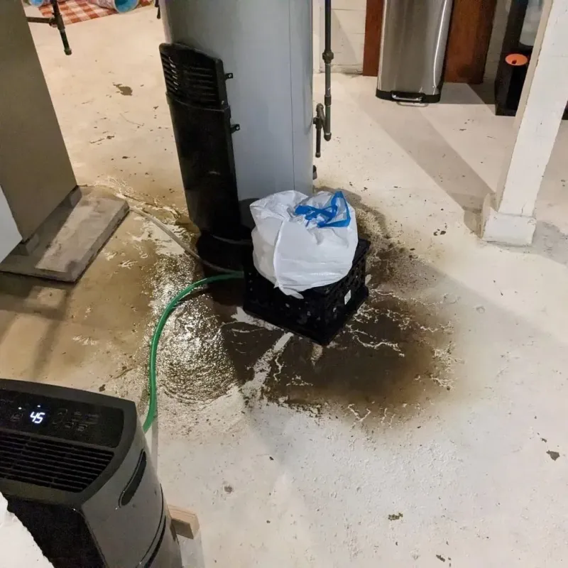 Sewage Backup Cleanup Service in Dallas County, TX
